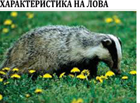 Лов на язовец