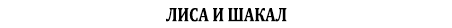 Лиса и шакал